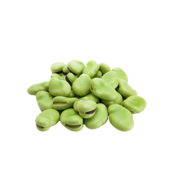 Broad Beans medium picture